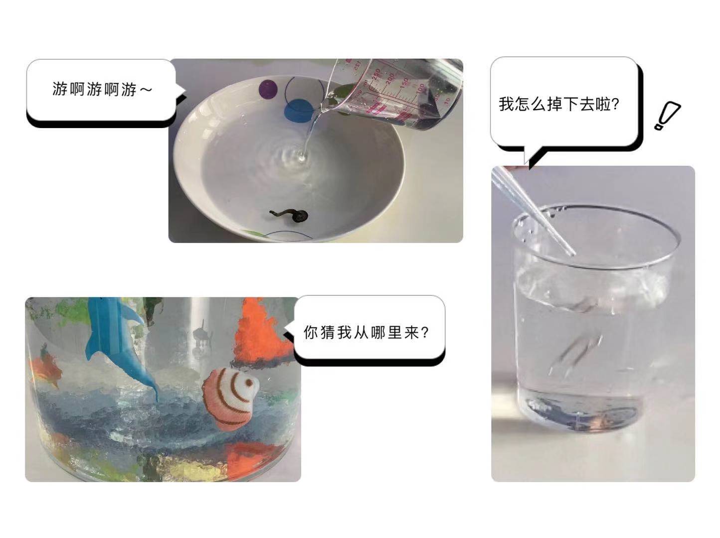 亲子活动;科学实验;中国科技馆 亲子活动;科学实验;中国科技馆