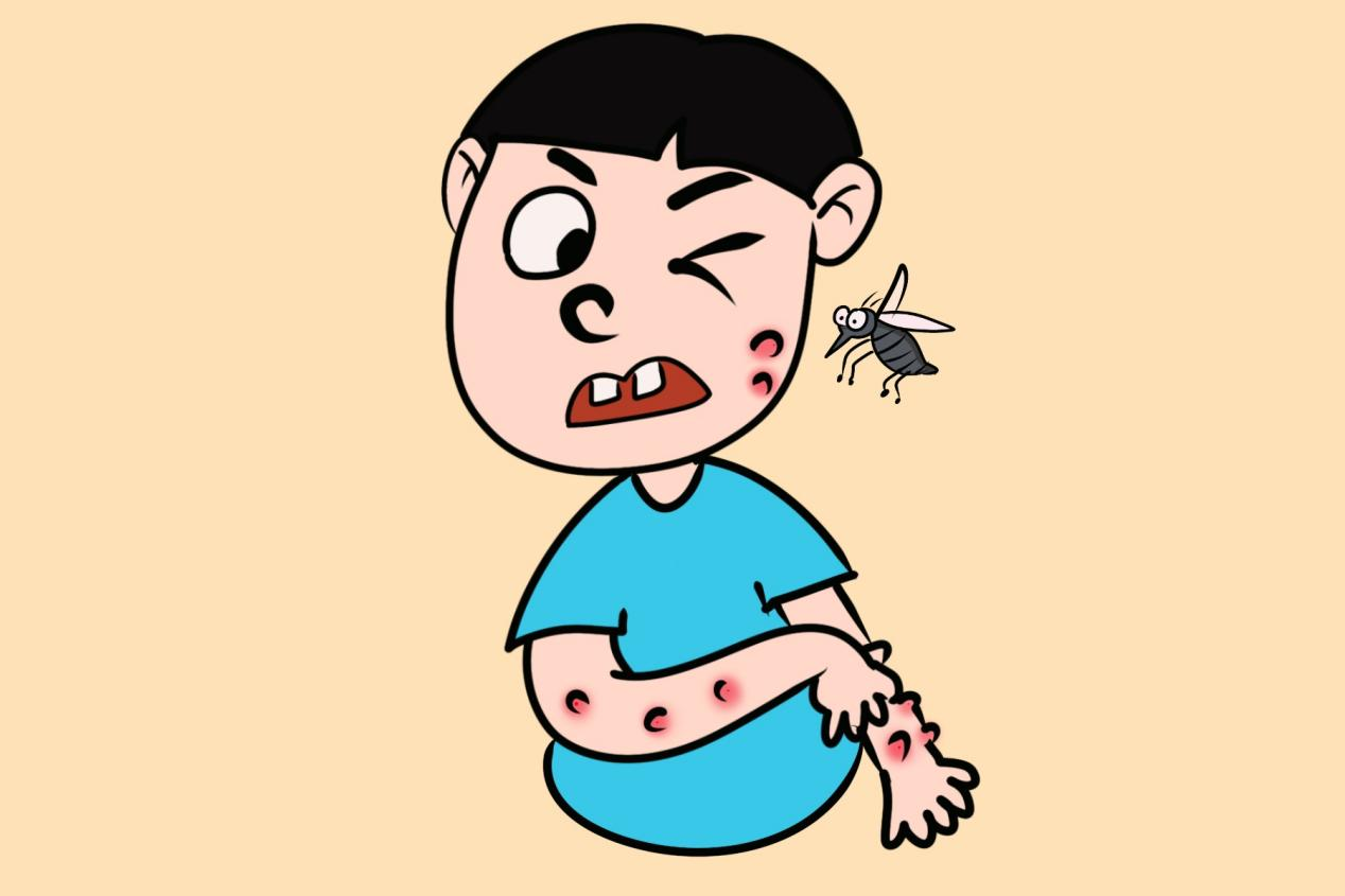 蚊子会坐电梯么,蚊子可以飞上30楼么,为什么有的人特别招蚊子 蚊子会坐电梯么,蚊子可以飞上30楼么,为什么有的人特别招蚊子