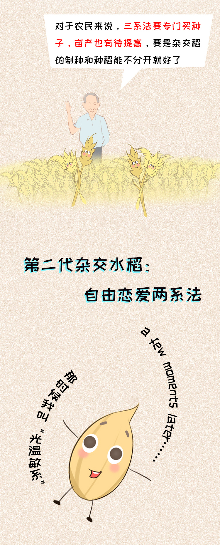 陪伴;年夜饭;舞台 陪伴;年夜饭;舞台