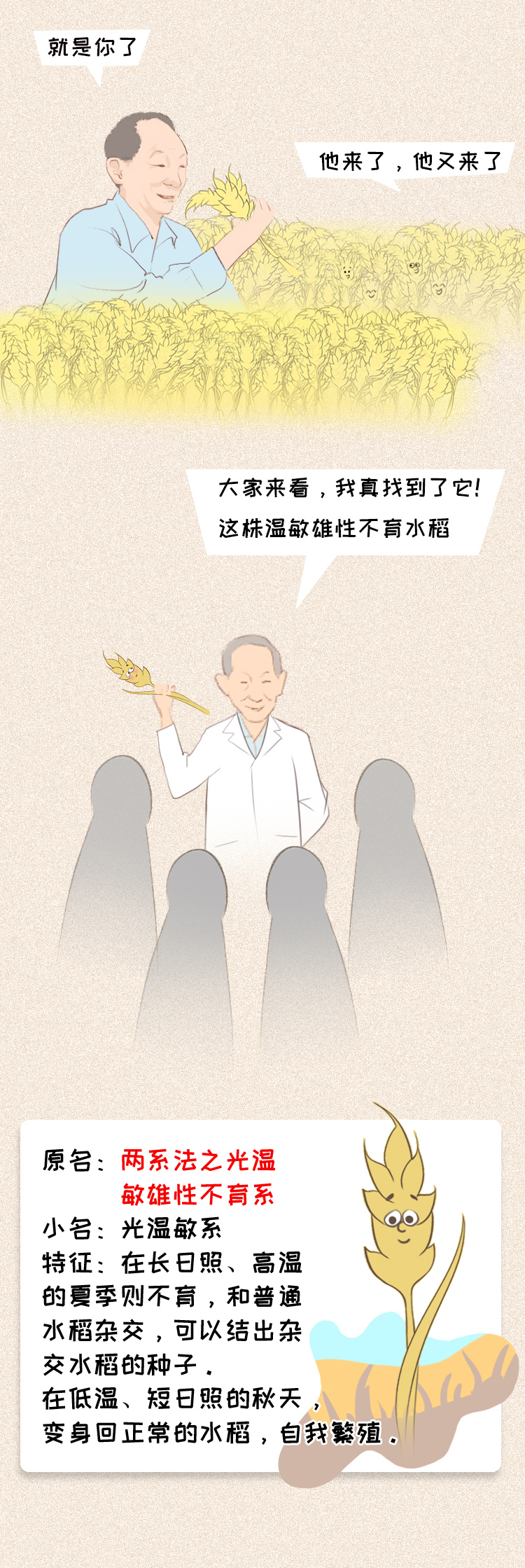 陪伴;年夜饭;舞台 陪伴;年夜饭;舞台