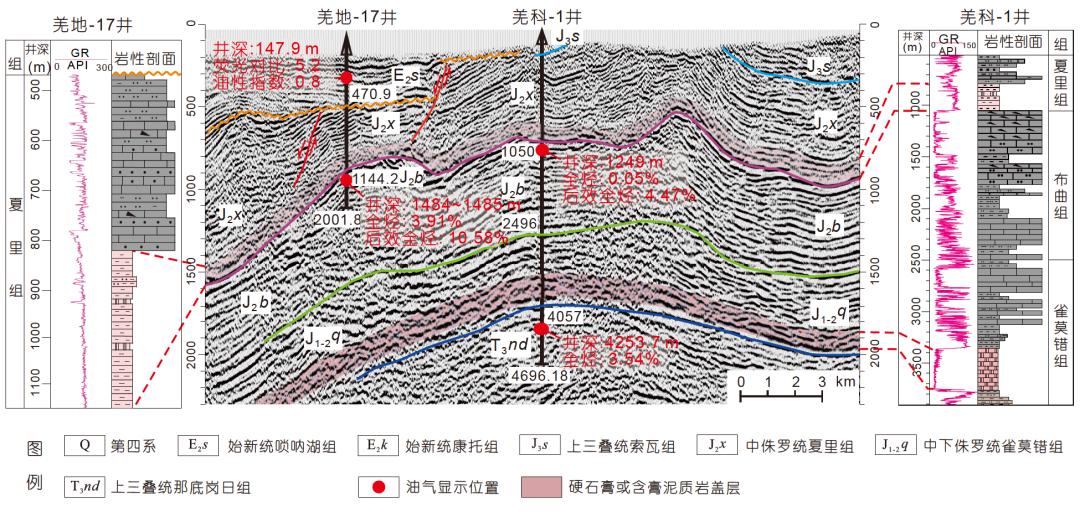 地震剖面,油气,显示特征 地震剖面,油气,显示特征