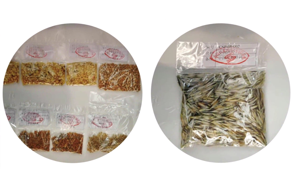 航天搭载后经过公证的种子,什么样的种子可以被送上天 航天搭载后经过公证的种子,什么样的种子可以被送上天