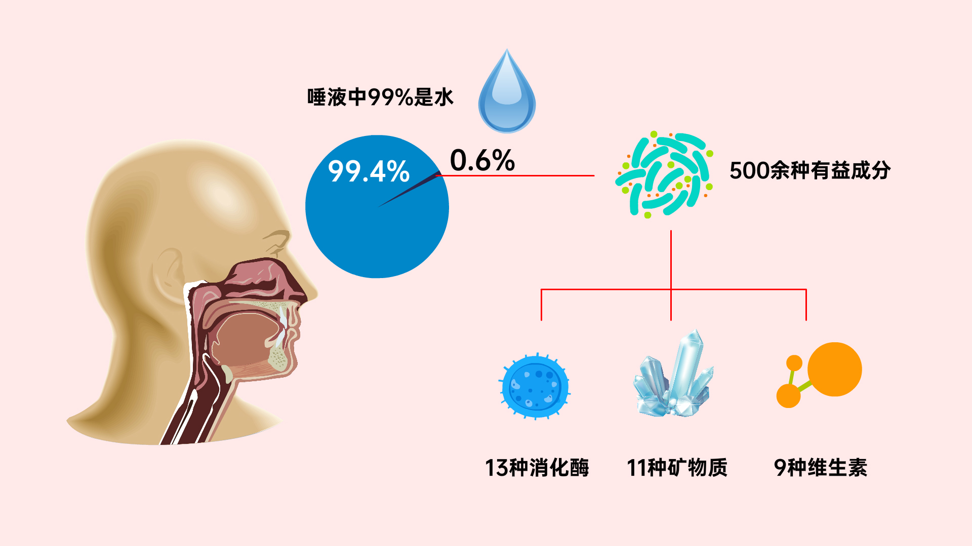 唾液,消化液,生长因子